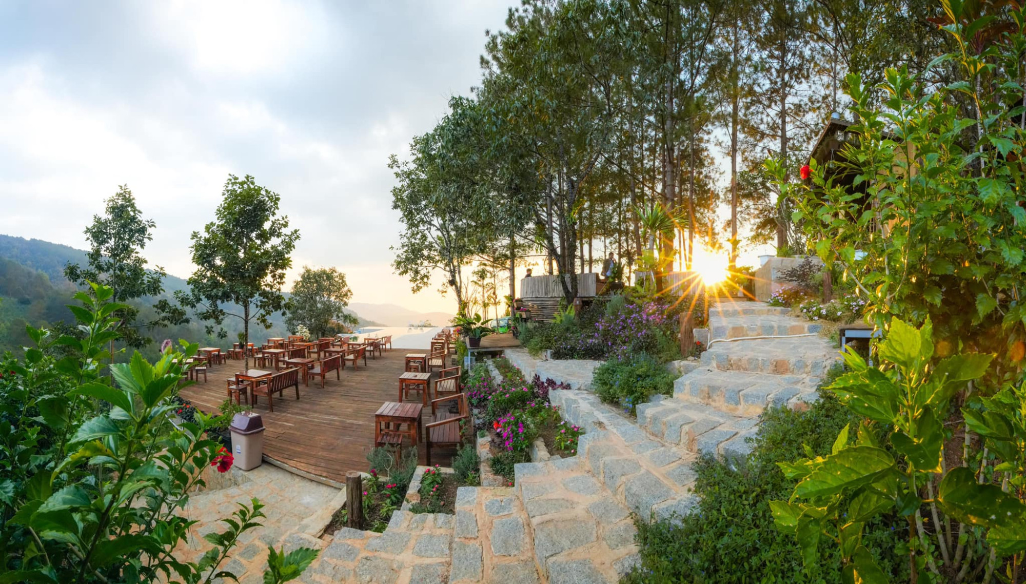 Cao Nguyên Hoa Đà Lạt